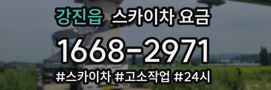 강진읍 스카이차 요금