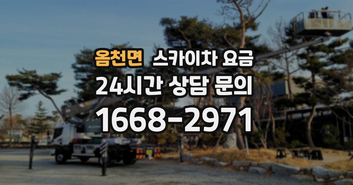 옴천면 스카이차 요금