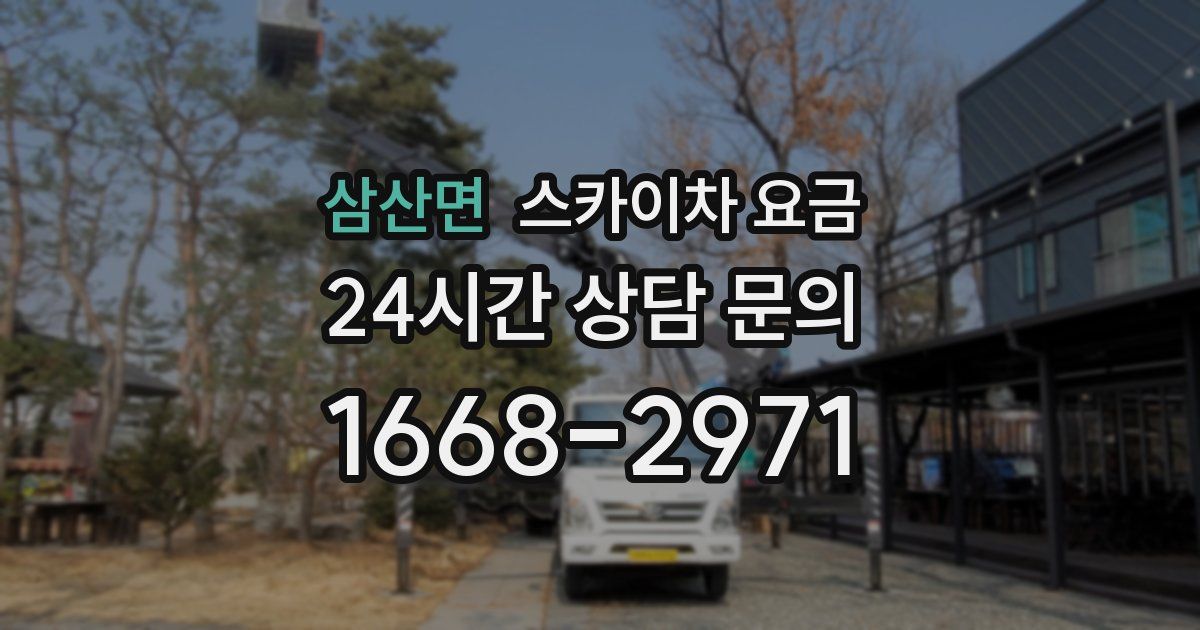 삼산면 스카이차 요금