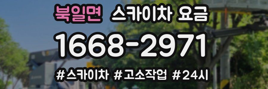 북일면 스카이차 요금