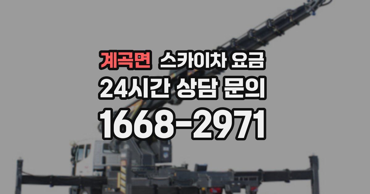계곡면 스카이차 요금