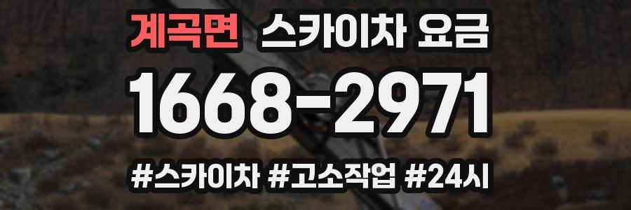 계곡면 스카이차 요금