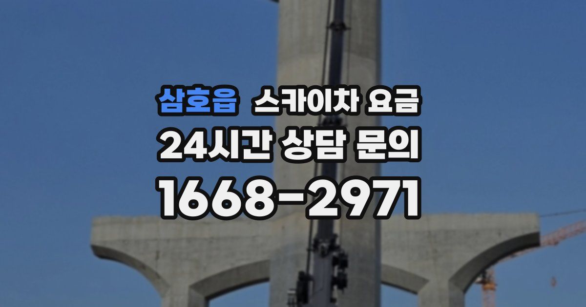 삼호읍 스카이차 요금