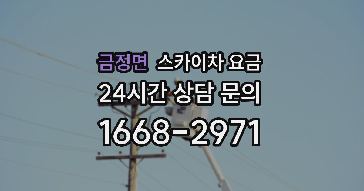 금정면 스카이차 요금