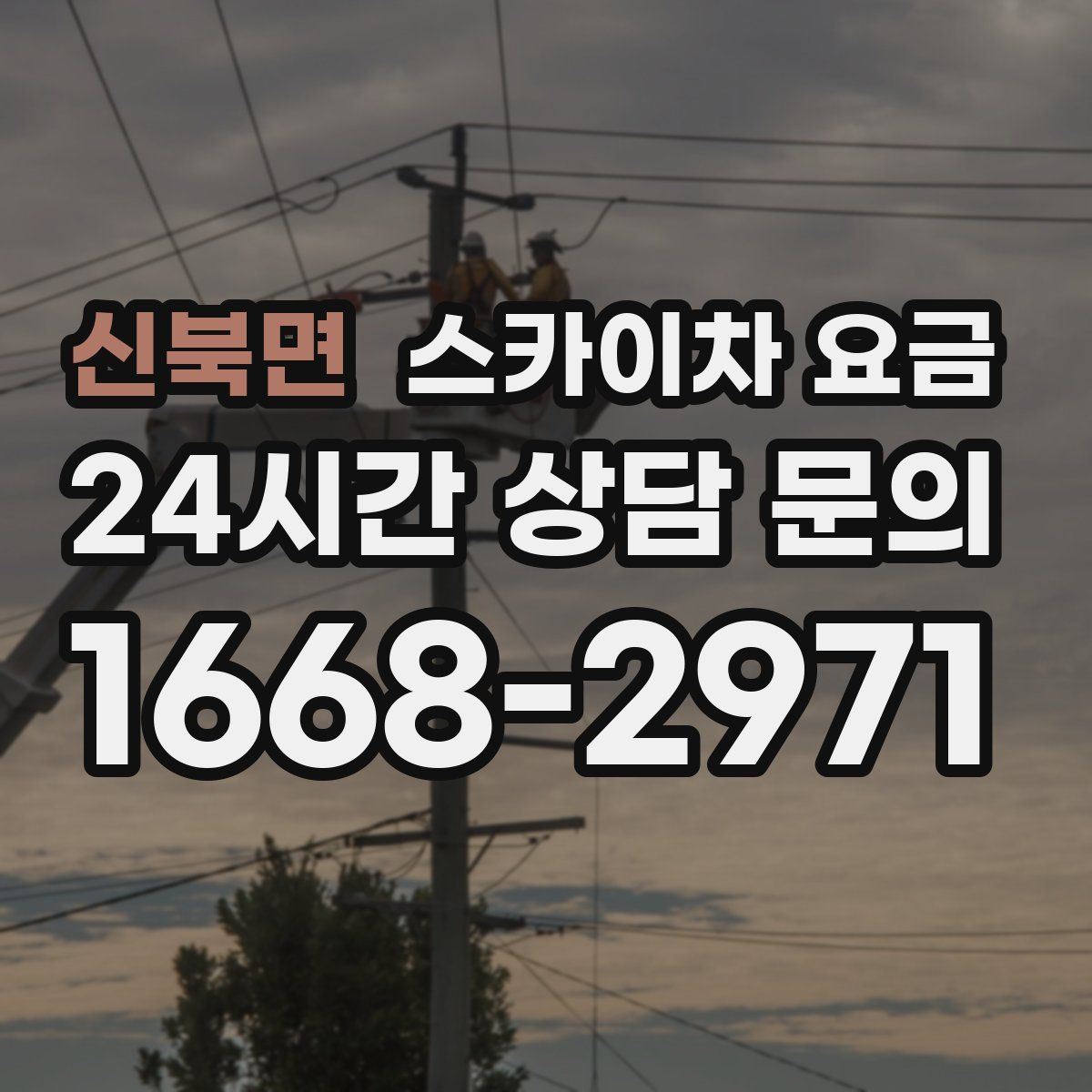 신북면 스카이차 요금