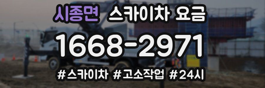시종면 스카이차 요금