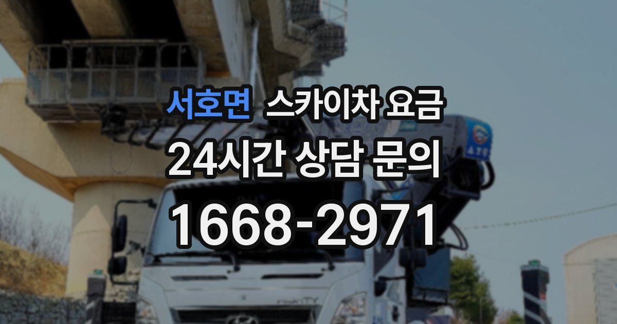 서호면 스카이차 요금