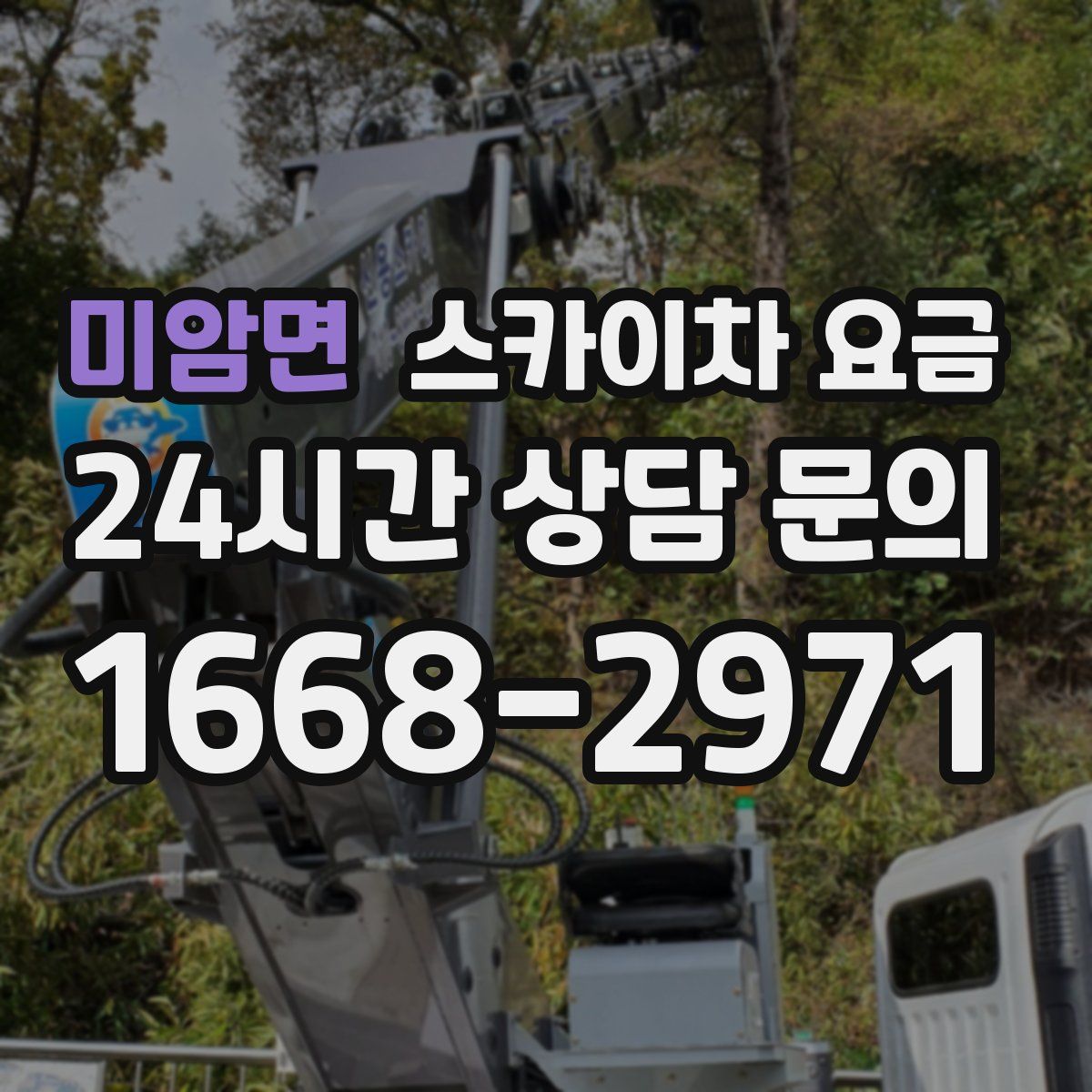 미암면 스카이차 요금