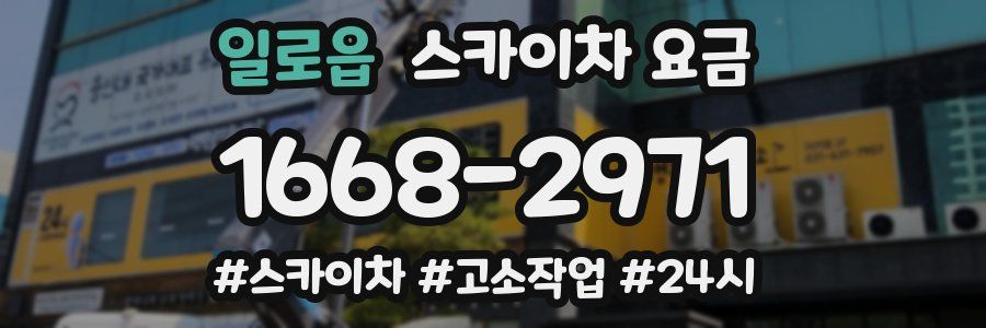 일로읍 스카이차 요금