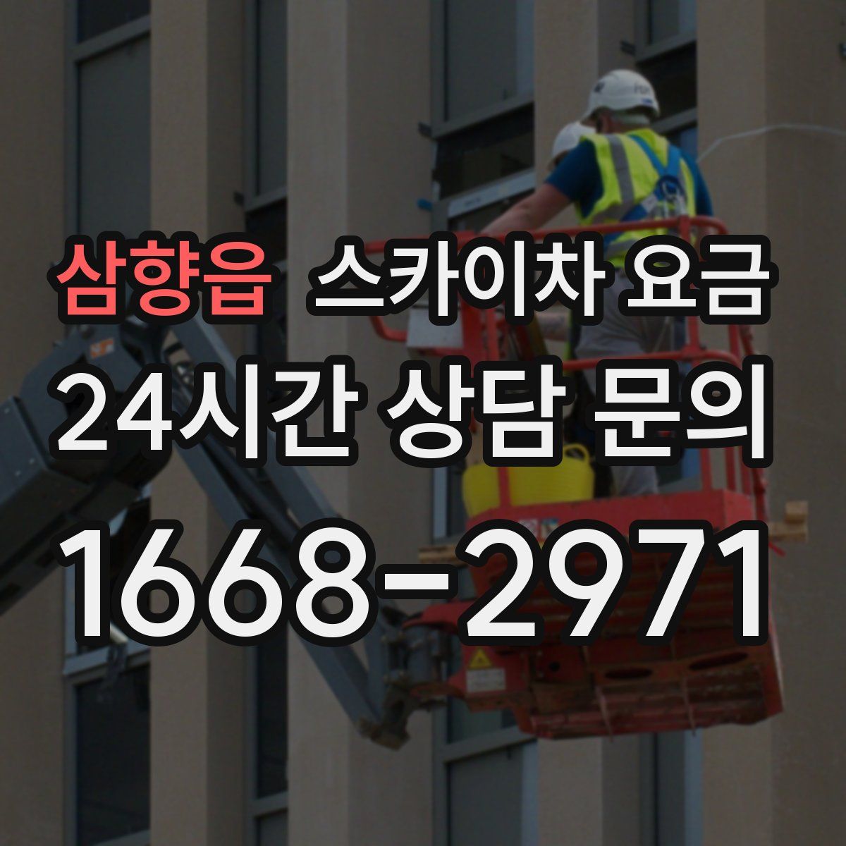 삼향읍 스카이차 요금