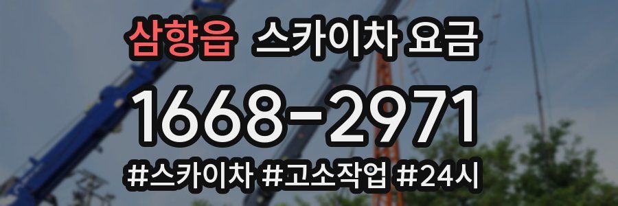 삼향읍 스카이차 요금