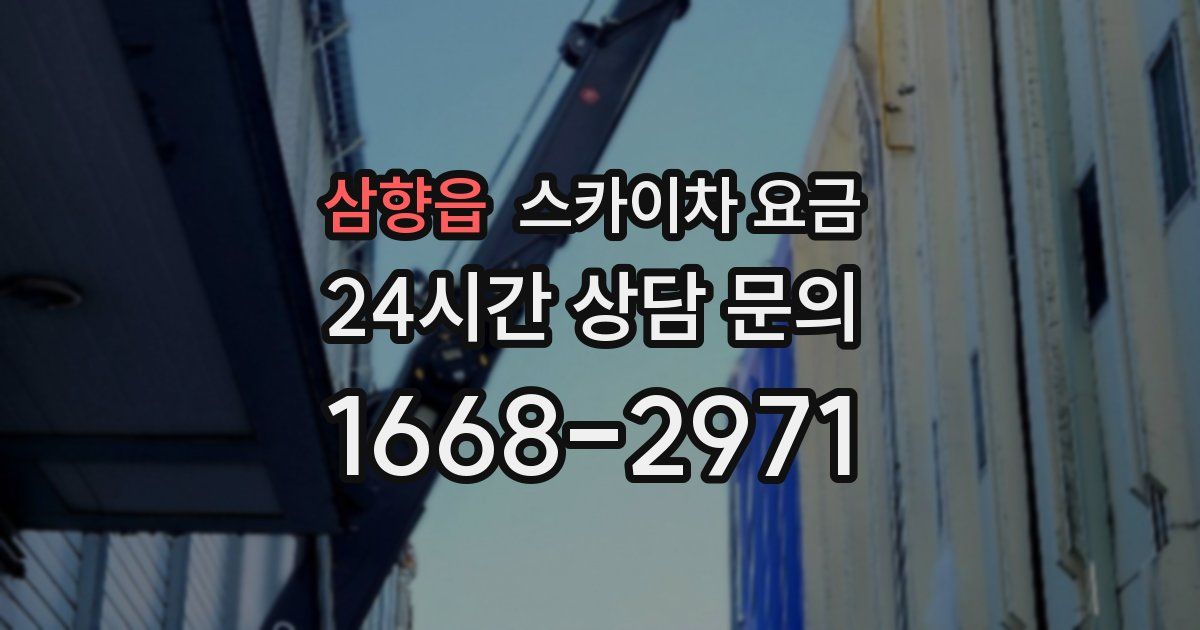 삼향읍 스카이차 요금