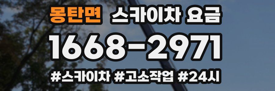 몽탄면 스카이차 요금