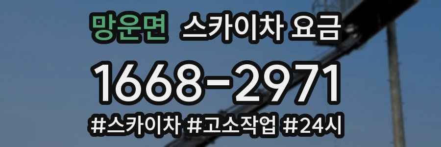 망운면 스카이차 요금