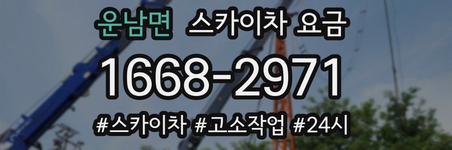 운남면 스카이차 요금