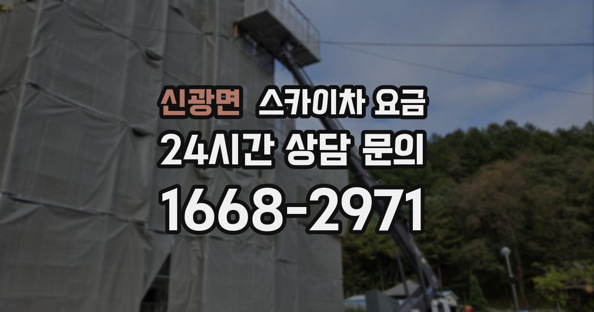 신광면 스카이차 요금