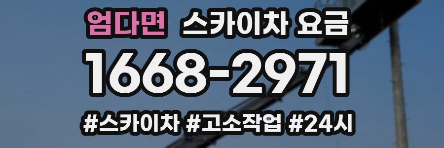 엄다면 스카이차 요금