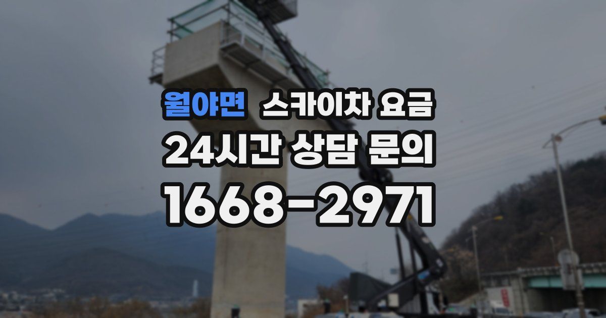 월야면 스카이차 요금