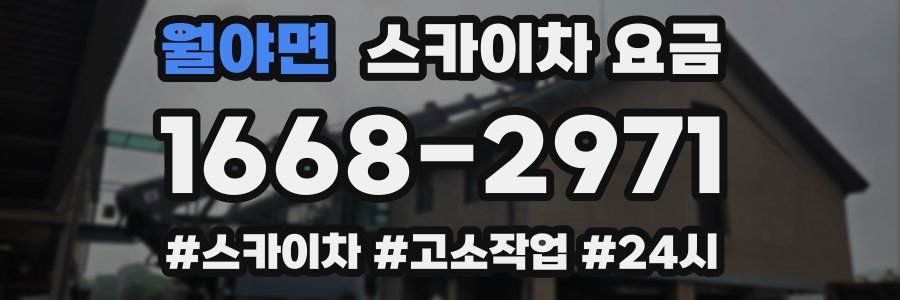 월야면 스카이차 요금
