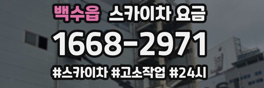 백수읍 스카이차 요금