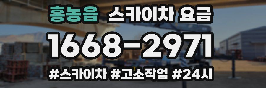 홍농읍 스카이차 요금