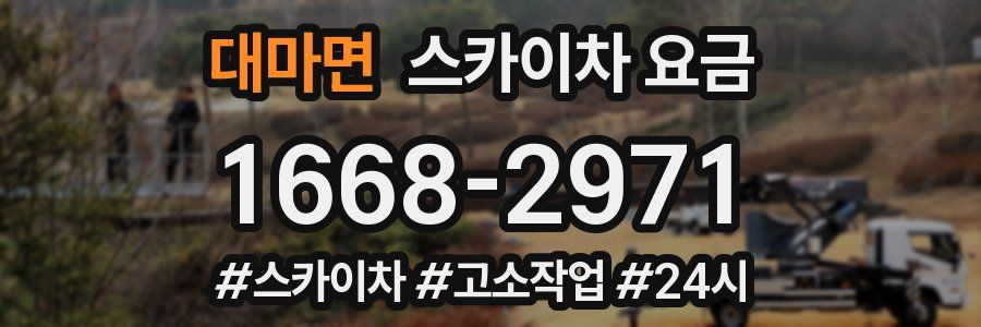대마면 스카이차 요금