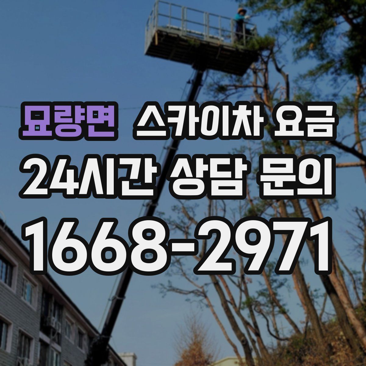묘량면 스카이차 요금