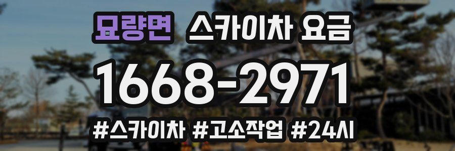묘량면 스카이차 요금