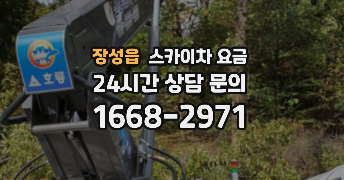 장성읍 스카이차 요금