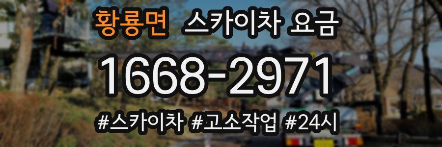 황룡면 스카이차 요금