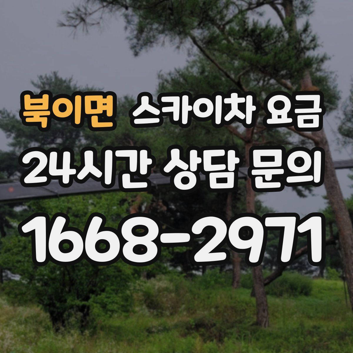 북이면 스카이차 요금