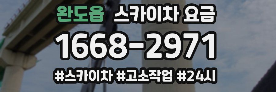 완도읍 스카이차 요금