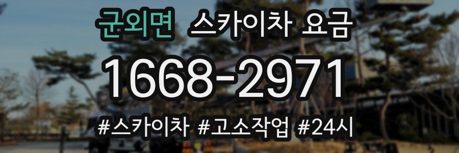 군외면 스카이차 요금