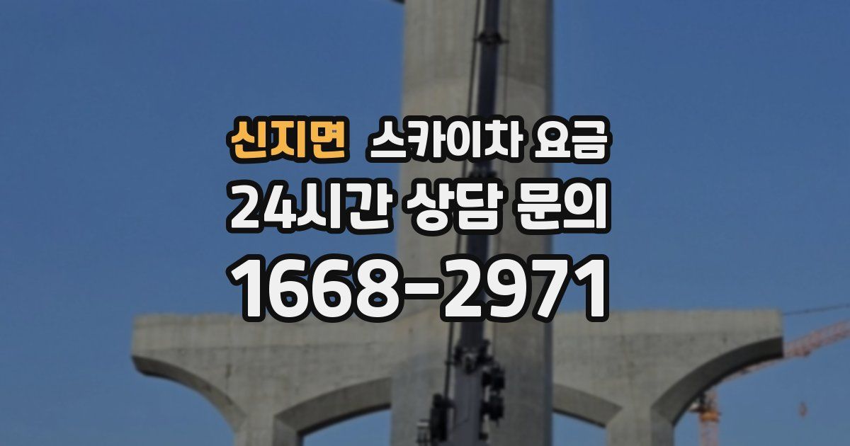 신지면 스카이차 요금