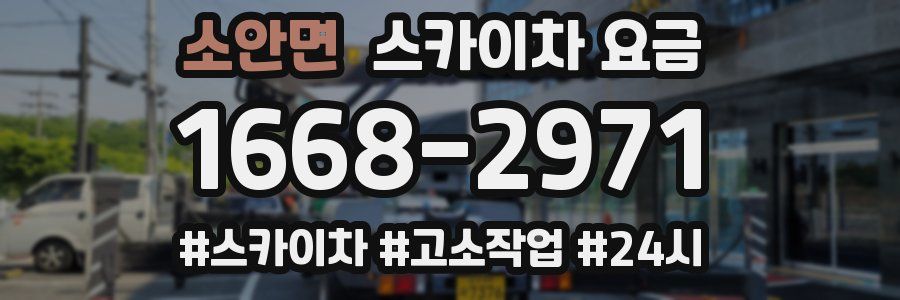소안면 스카이차 요금