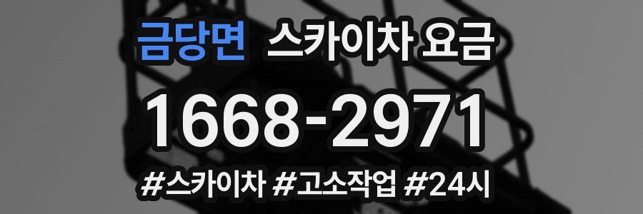 금당면 스카이차 요금