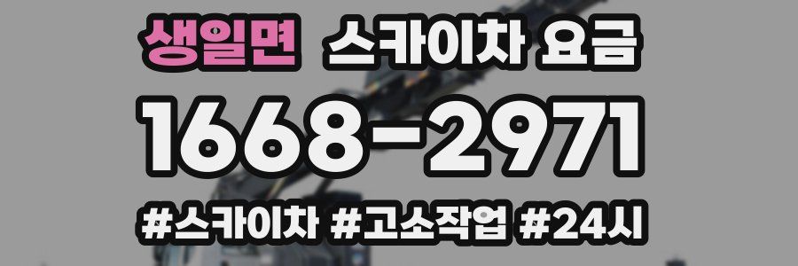 생일면 스카이차 요금