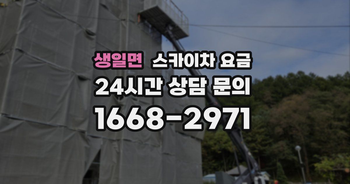 생일면 스카이차 요금