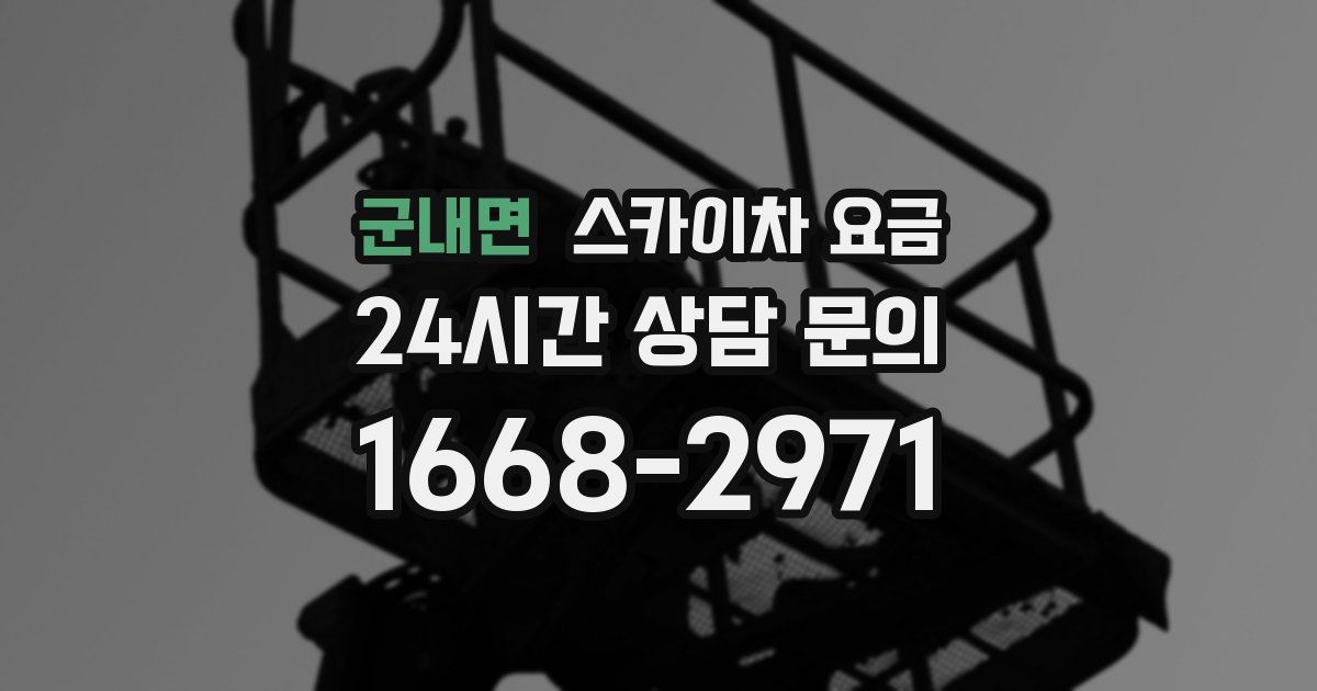 군내면 스카이차 요금
