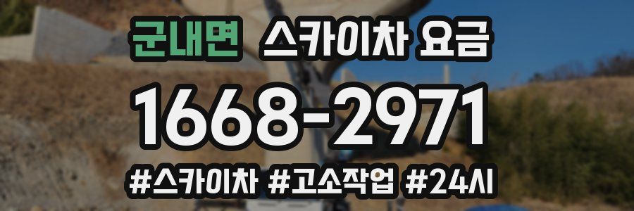 군내면 스카이차 요금