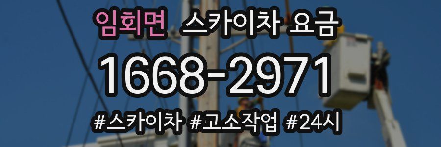임회면 스카이차 요금