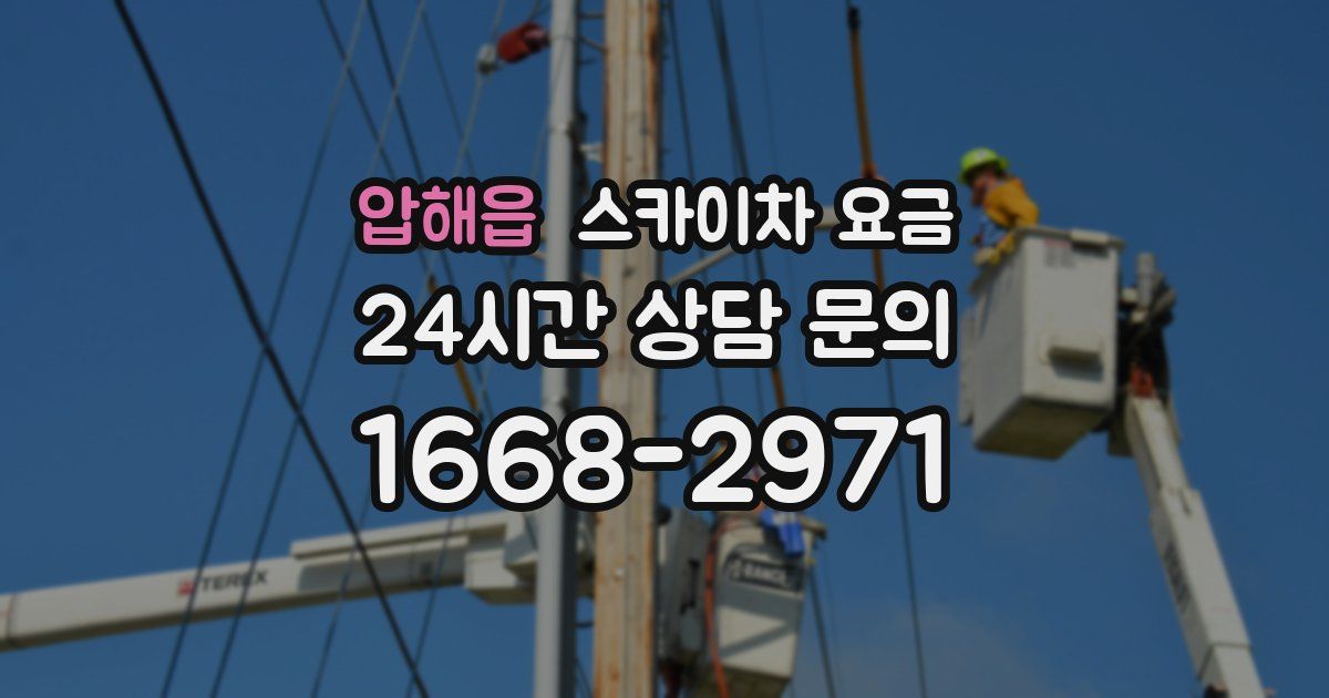 압해읍 스카이차 요금