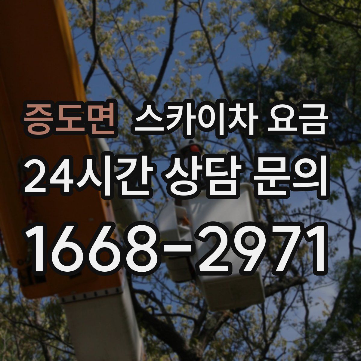증도면 스카이차 요금