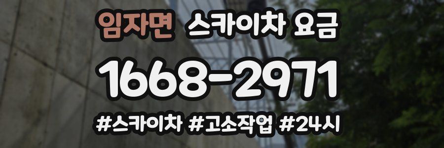 임자면 스카이차 요금