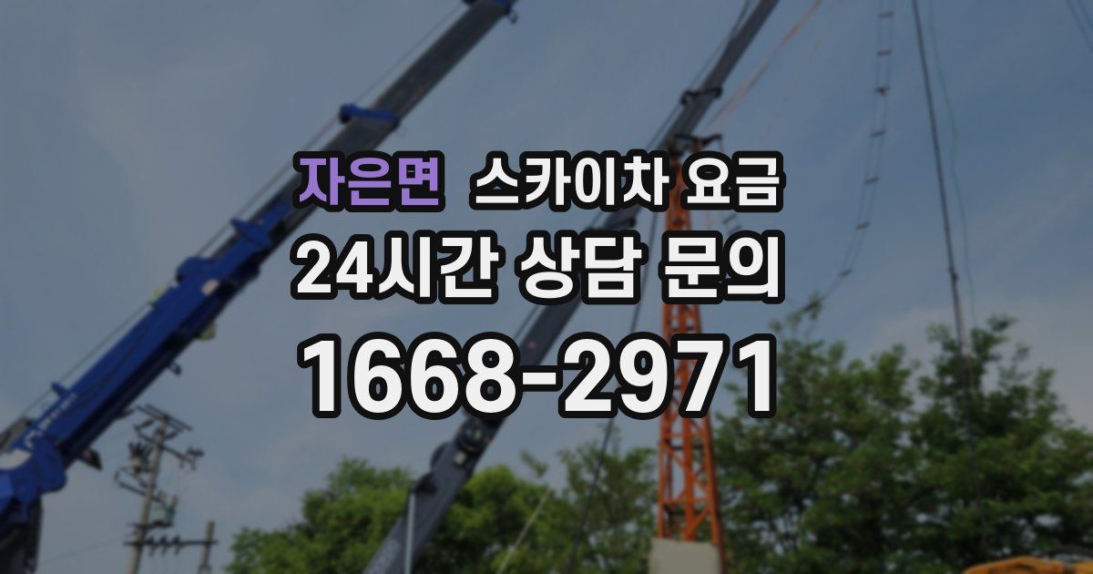 자은면 스카이차 요금