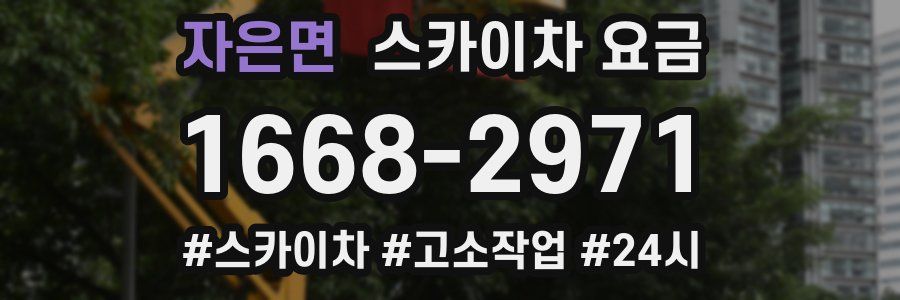 자은면 스카이차 요금