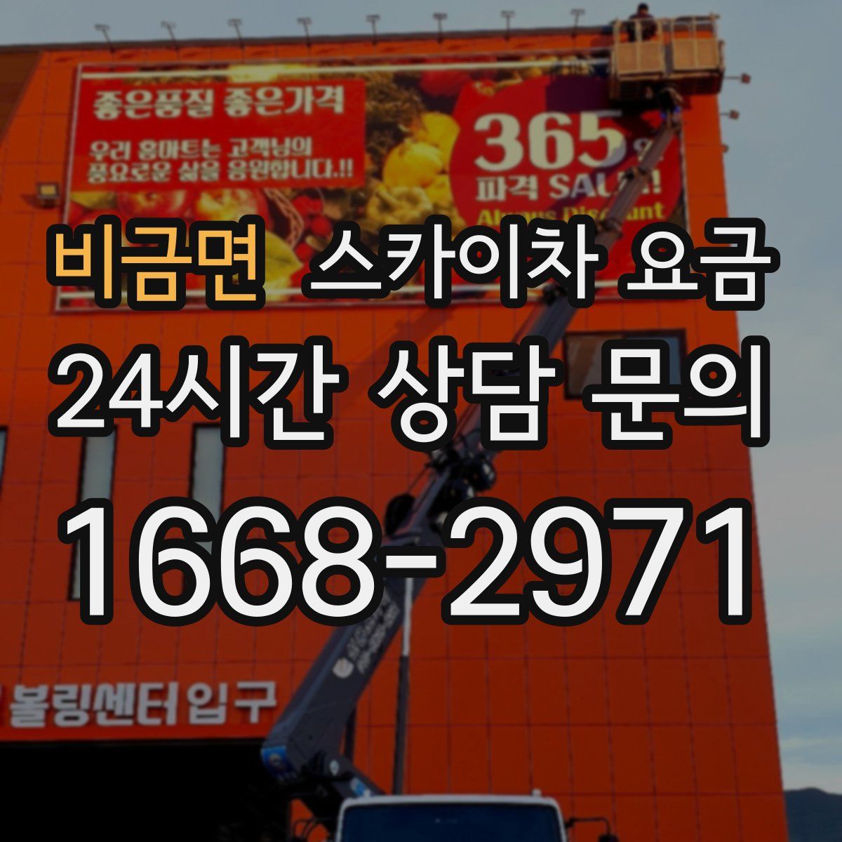 비금면 스카이차 요금