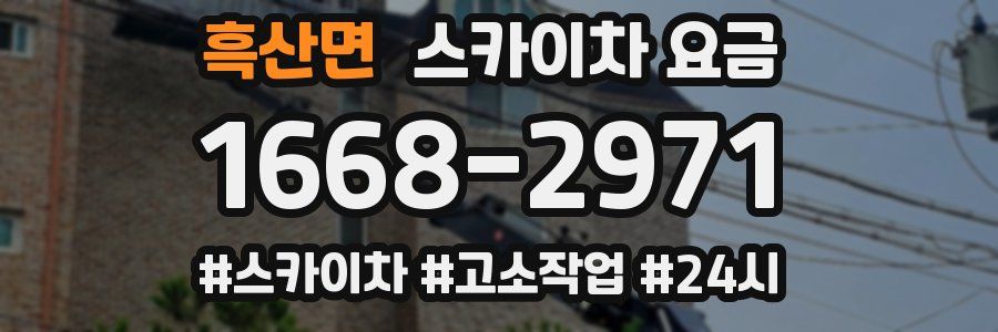 흑산면 스카이차 요금