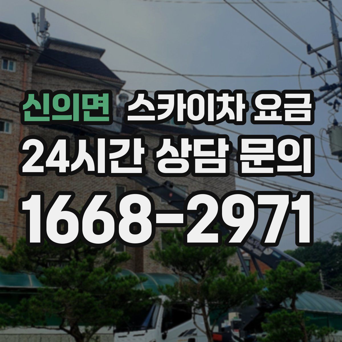 신의면 스카이차 요금