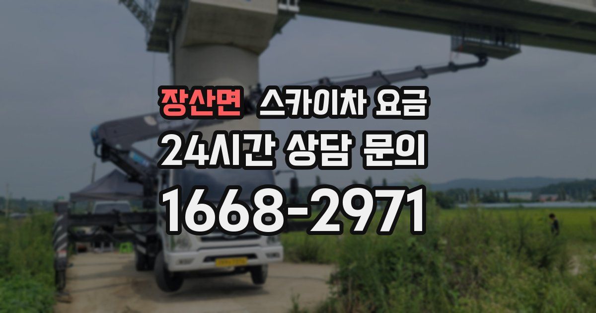 장산면 스카이차 요금